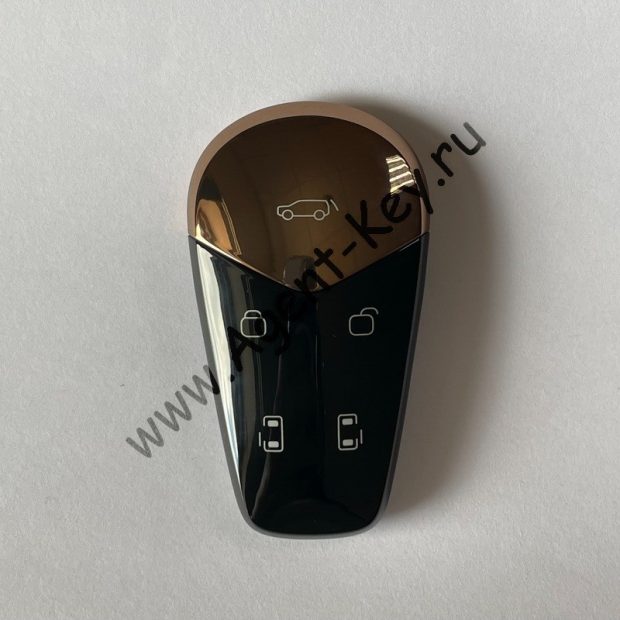 Смарт ключ для Voyah Dream 2021-