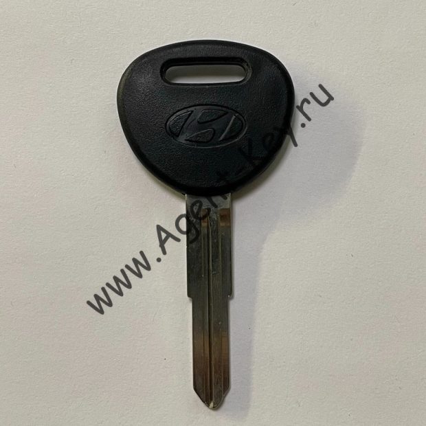 Заготовка ключа Hyundai Porter с местом под чип HYN9