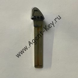 81996-A2010_2